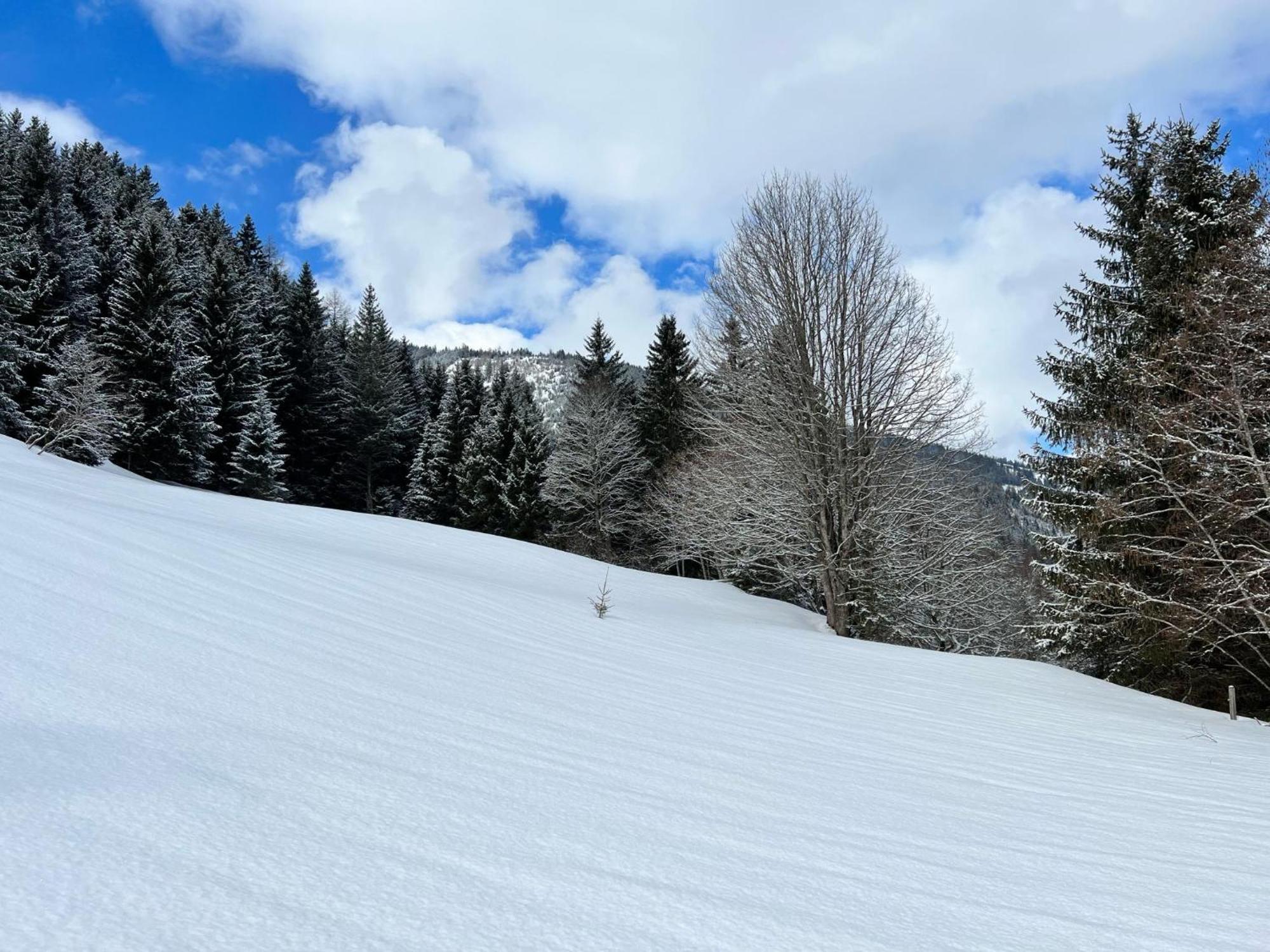 Vila Haus Bente Donnersbachwald Exteriér fotografie