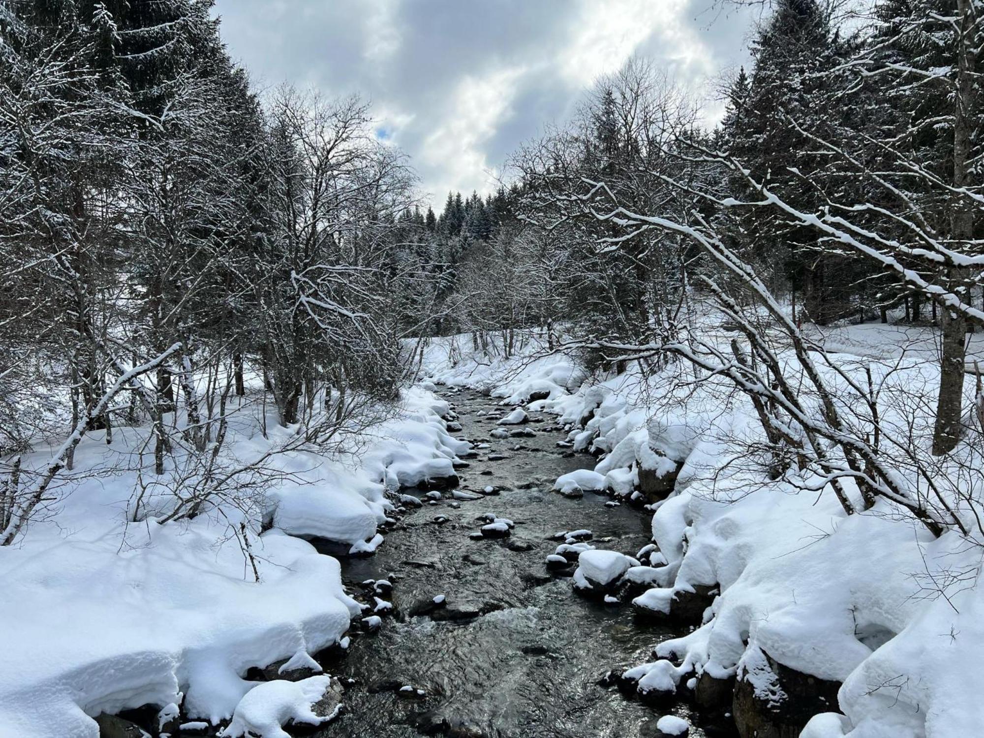 Vila Haus Bente Donnersbachwald Exteriér fotografie